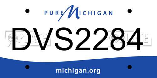 DVS2284 Michigan License Plate