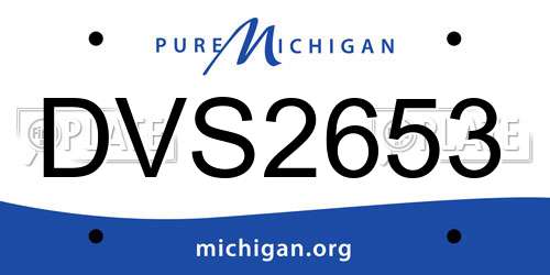 DVS2653 Michigan License Plate