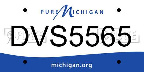 DVS5565 Michigan License Plate