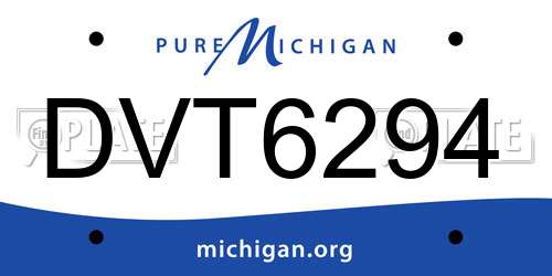 DVT6294 Michigan License Plate