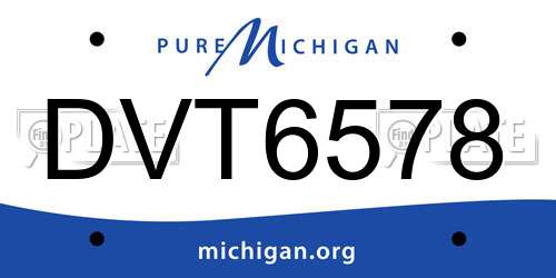 DVT6578 Michigan License Plate