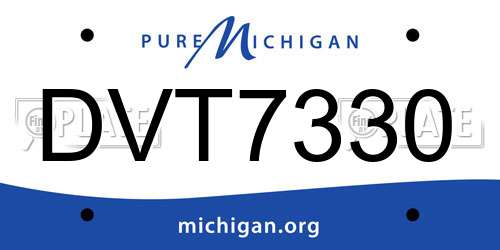 DVT7330 Michigan License Plate