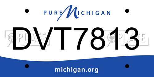 DVT7813 Michigan License Plate
