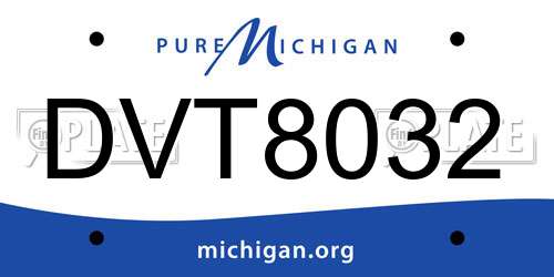 DVT8032 Michigan License Plate