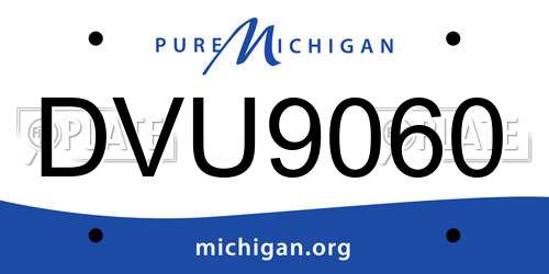 DVU9060 Michigan License Plate