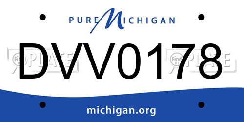 DVV0178 Michigan License Plate