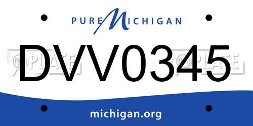 DVV0345 Michigan License Plate