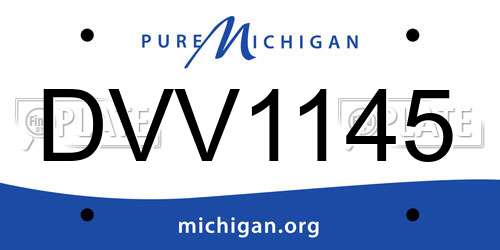 DVV1145 Michigan License Plate