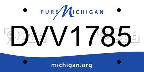 DVV1785 Michigan License Plate