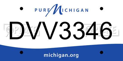 DVV3346 Michigan License Plate
