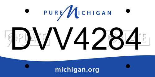 DVV4284 Michigan License Plate