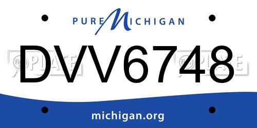 DVV6748 Michigan License Plate