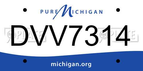 DVV7314 Michigan License Plate