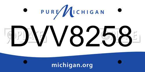 DVV8258 Michigan License Plate