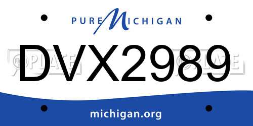 DVX2989 Michigan License Plate