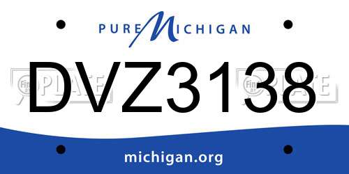 DVZ3138 Michigan License Plate