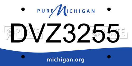 DVZ3255 Michigan License Plate