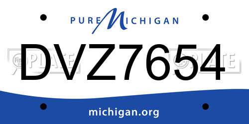 DVZ7654 Michigan License Plate
