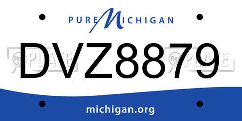 DVZ8879 Michigan License Plate