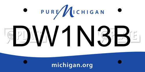 DW1N3B Michigan License Plate