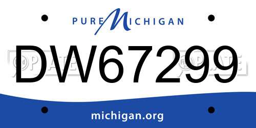 DW67299 Michigan License Plate