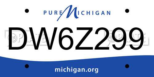 DW6Z299 Michigan License Plate