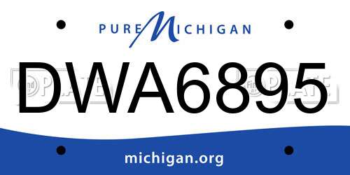 DWA6895 Michigan License Plate