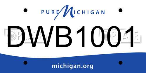 DWB1001 Michigan License Plate