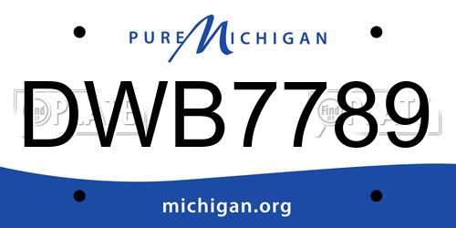 DWB7789 Michigan License Plate
