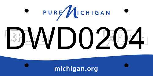 DWD0204 Michigan License Plate