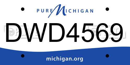 DWD4569 Michigan License Plate