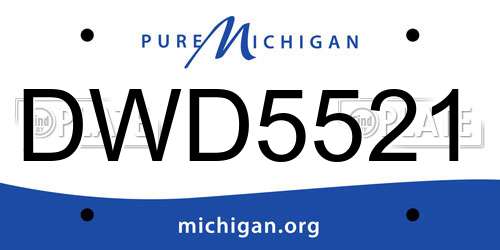 DWD5521 Michigan License Plate