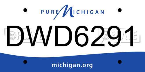DWD6291 Michigan License Plate
