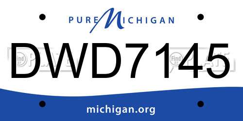 DWD7145 Michigan License Plate