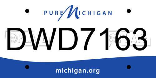 DWD7163 Michigan License Plate