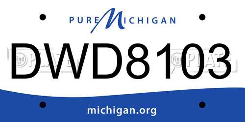 DWD8103 Michigan License Plate