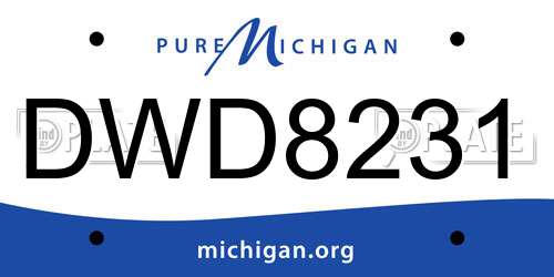 DWD8231 Michigan License Plate