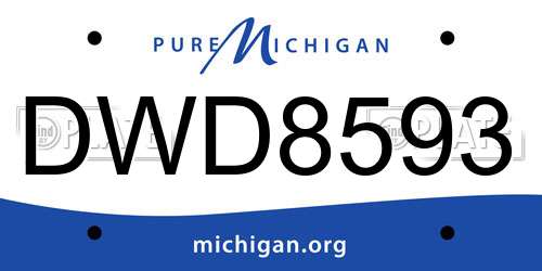 DWD8593 Michigan License Plate