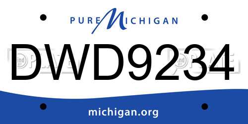 DWD9234 Michigan License Plate