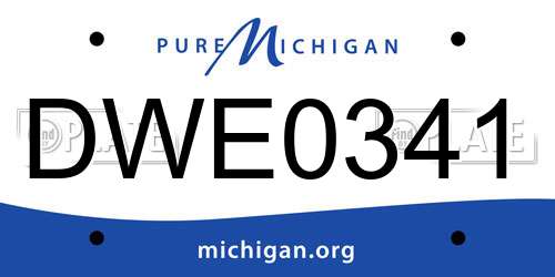 DWE0341 Michigan License Plate