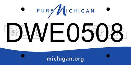 DWE0508 Michigan License Plate