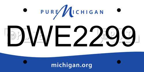 DWE2299 Michigan License Plate