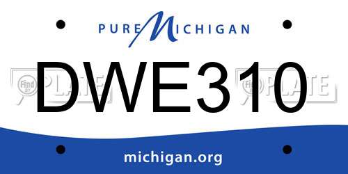 DWE310 Michigan License Plate