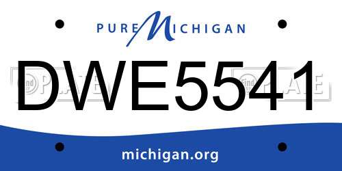 DWE5541 Michigan License Plate