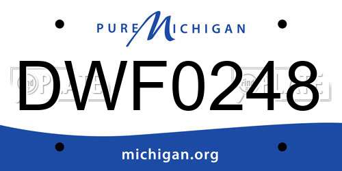DWF0248 Michigan License Plate
