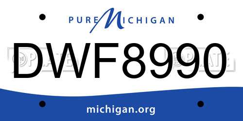 DWF8990 Michigan License Plate