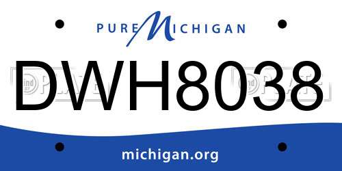DWH8038 Michigan License Plate