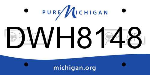 DWH8148 Michigan License Plate