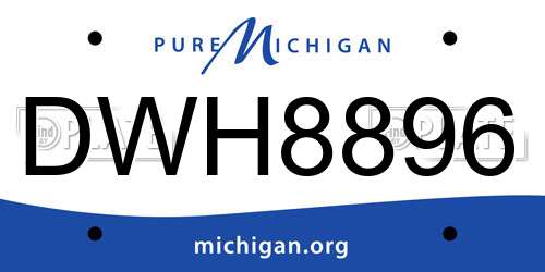 DWH8896 Michigan License Plate