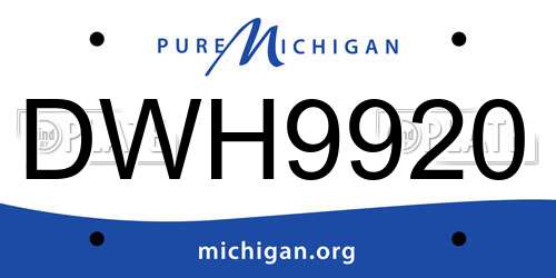 DWH9920 Michigan License Plate
